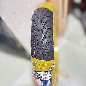 Vỏ AB Gai Citi